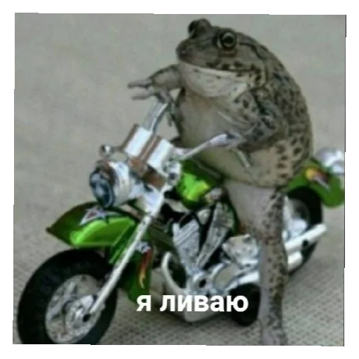 Стикер ZHabychiILyagi - 1