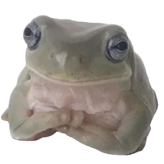 Sticker Жабычи и ляги - 6