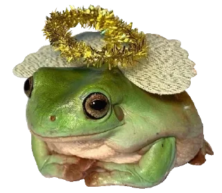 Sticker Жабычи и ляги - 10