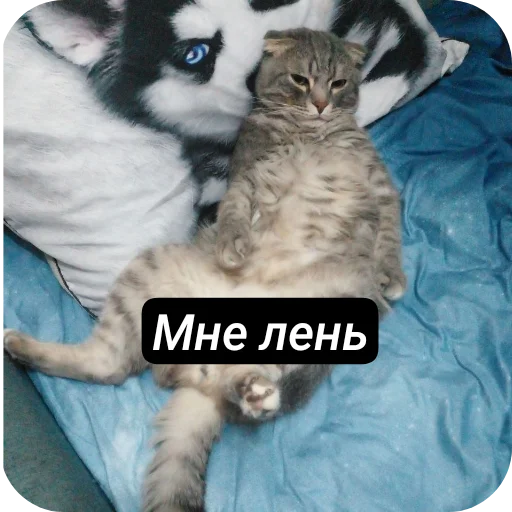 Sticker ZHeskie48 - 1