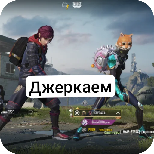 Sticker ZHeskie48 - 1