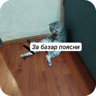 Sticker Жеские - 2