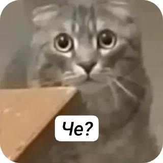 Sticker Жеские - 0