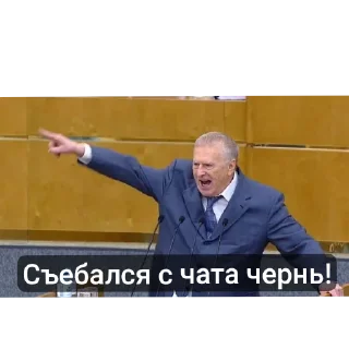 Sticker Жириновский - 4