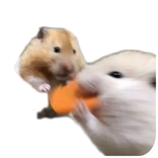 Животинки - 