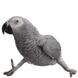 Sticker Животинки - 4