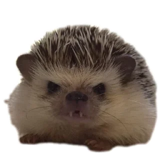 Sticker Животинки - 8