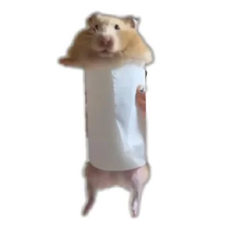 Sticker Животинки - 5