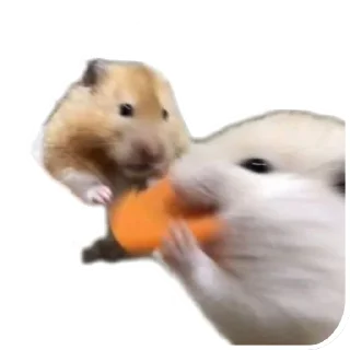 Sticker Животинки - 2