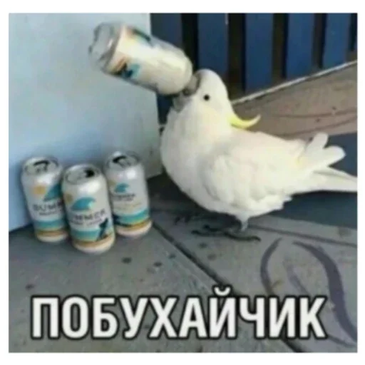 Животные и предметы - 