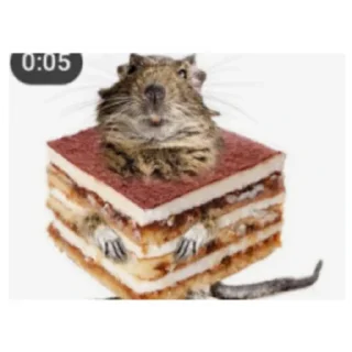 Sticker Животные и предметы - 8