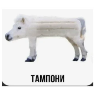 Sticker Животные и предметы - 1