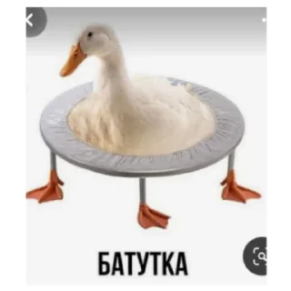 Sticker Животные и предметы - 2