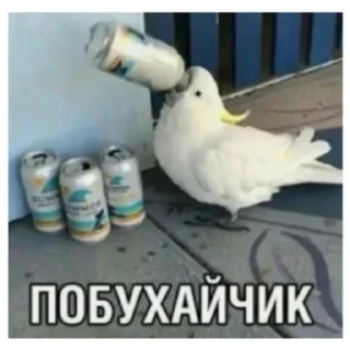 Sticker Животные и предметы - 4