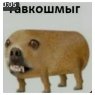 Sticker Животные и предметы - 5