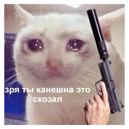 Sticker Жиза - 9