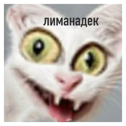 Sticker Жиза - 6