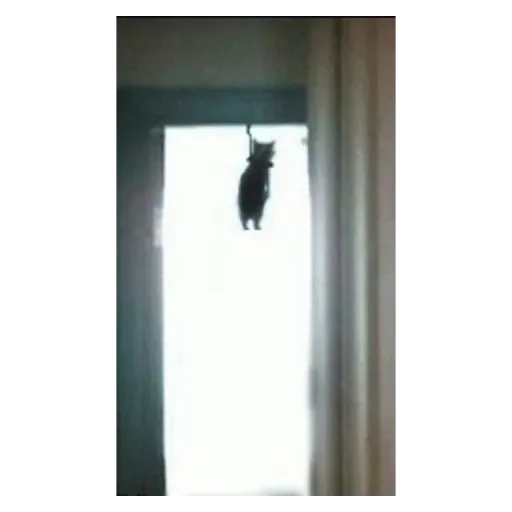 Sticker Жиза - 5