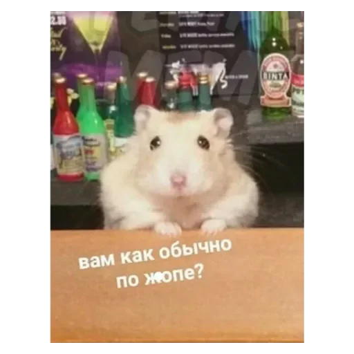 Sticker Жиза - 1