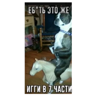 Sticker ЖоЖо от MAXутка🍒🍒🍒 - 5