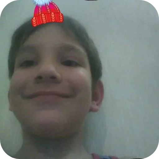 Sticker ZHopa2136 - 1