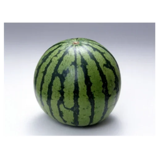 Sticker ZHopa3917 - 1