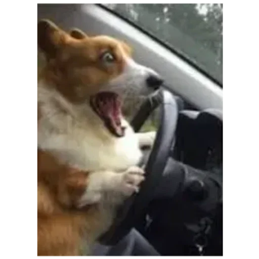 Sticker ZHopa3917 - 1