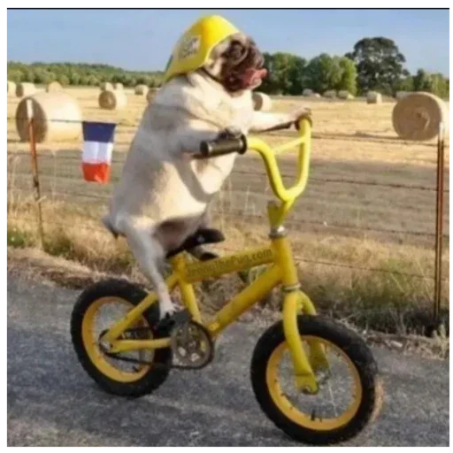 Стикер ZHopa3917 - 1