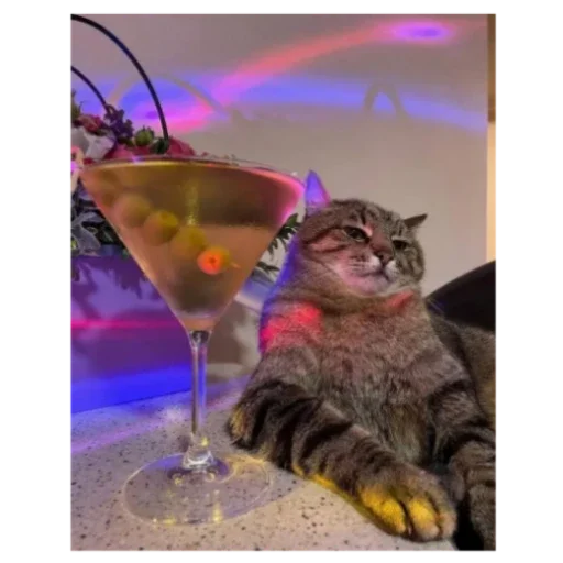 Sticker ZHopa3917 - 1