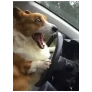 Sticker Жопа - 9