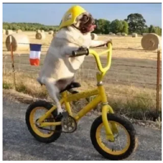 Sticker Жопа - 6