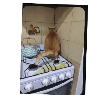 Стикер Жопа попа - 6