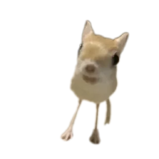 Стикер Жопа попа - 11