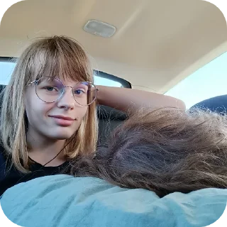 Sticker Жоскийрыгслонабыка - 4