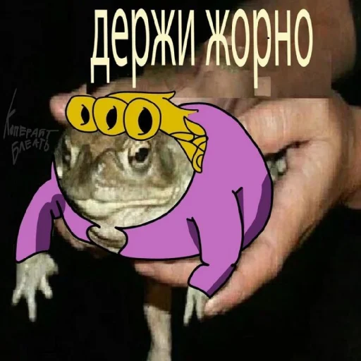 Sticker ZHozhaBazarAventuraOtkisaychel - 1