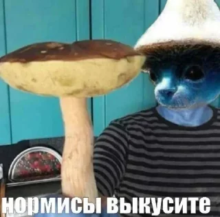 Стикер Создано в @sozdsti_bot - 4