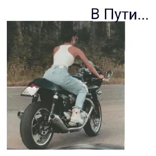 Стикер ZIVERT - 6