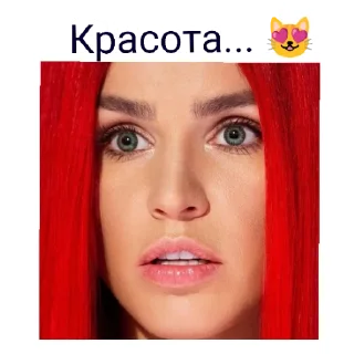 Стикер ZIVERT - 4