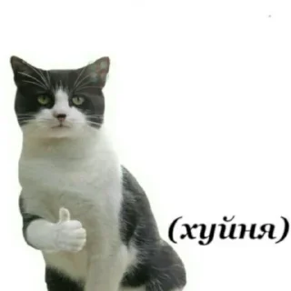 Sticker Больше стикеров 👉🏻 @stickertg4 - 3