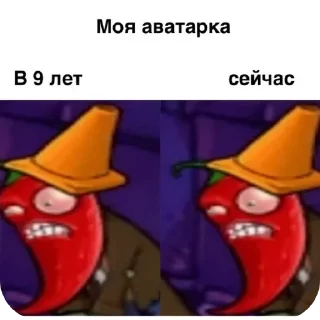 bell peppers and chili peppers hot pepper vegetable