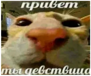 Sticker @sticksbb 🩷 <- канал со стиками - 2