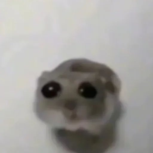 @stiki_tg_nah_canal - 