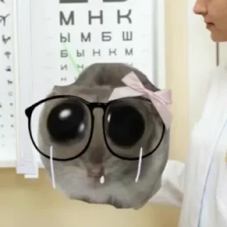 Стикер @stiki_tg_nah_canal - 6