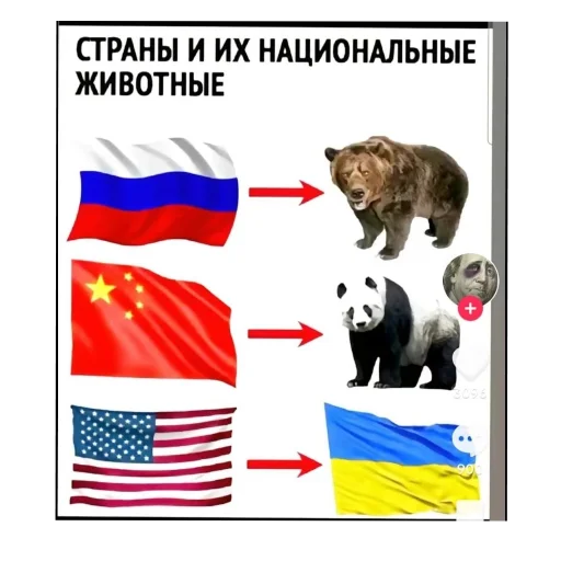 Sticker ZStikery - 1