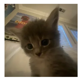 Стикер Создано в @sozdsti_bot - 5