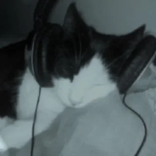 Стикер Создано в @sozdsti_bot - 0