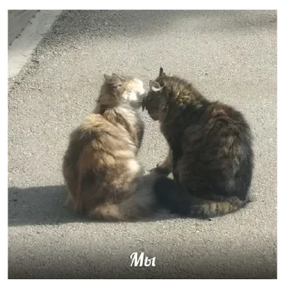 Стикер Создано в @sozdsti_bot - 6