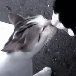 Стикер Создано в @sozdsti_bot - 9