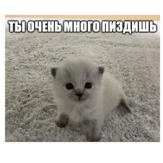 Стикер Создано в @sozdsti_bot - 8