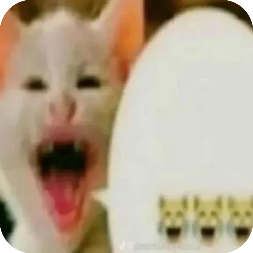 Sticker ZViTdvG_by_achestickbot - 1